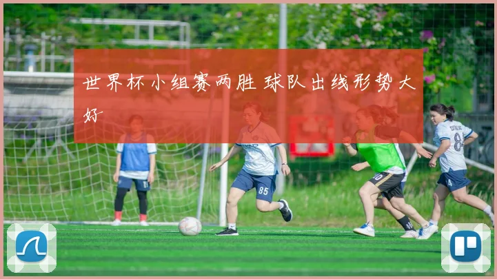 世界杯小组赛两胜 球队出线形势大好