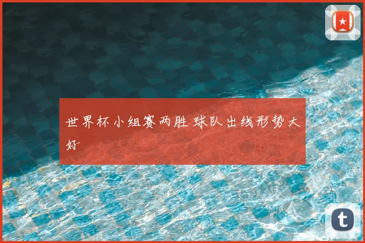世界杯小组赛两胜 球队出线形势大好