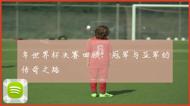 年世界杯决赛回顾：冠军与亚军的传奇之路