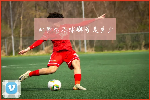 世界杯足球群号是多少