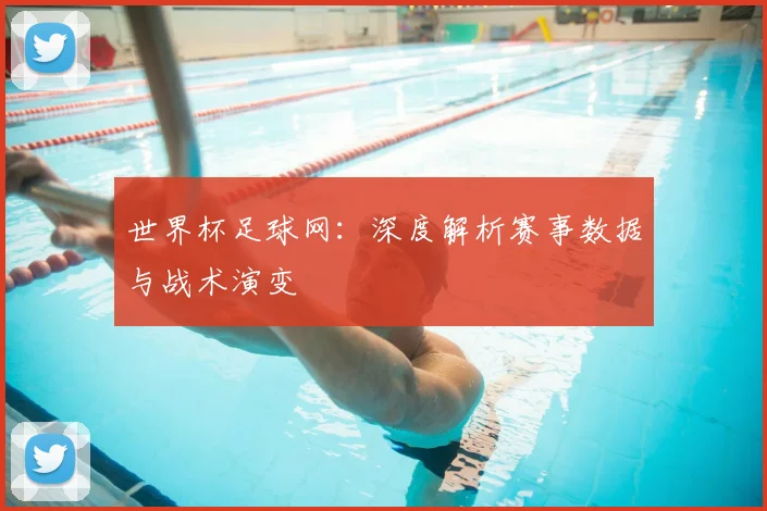 世界杯足球网：深度解析赛事数据与战术演变