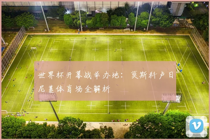 世界杯开幕战举办地：莫斯科卢日尼基体育场全解析